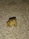 DSC01008.JPG