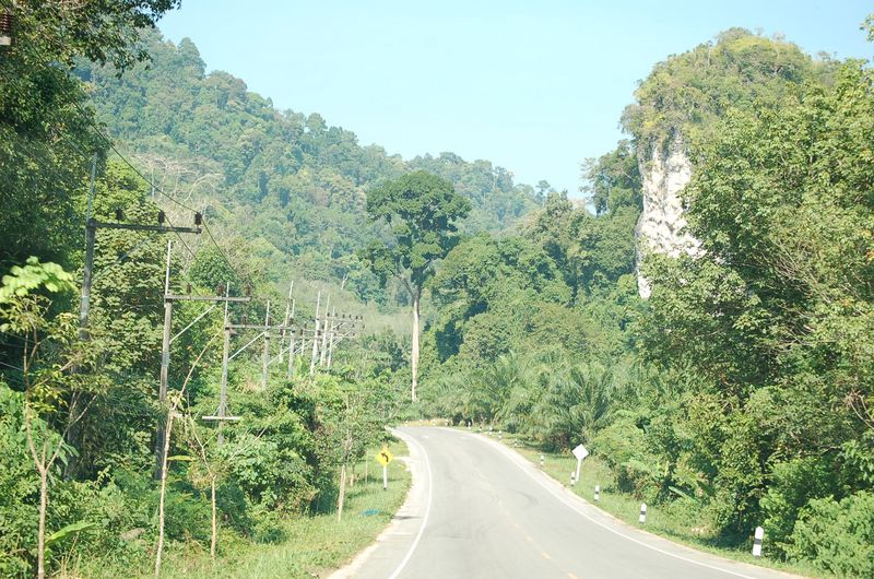 DSC_7235.JPG