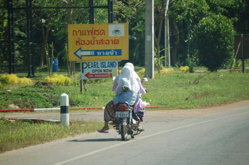 DSC_7252.JPG
