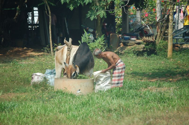 DSC_7316.JPG