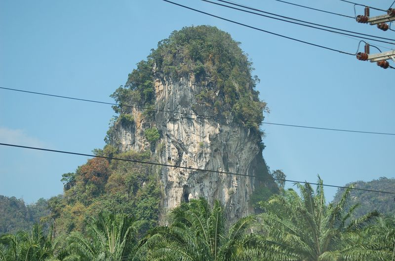 DSC_7319.JPG