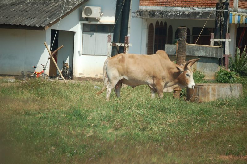 DSC_7321.JPG