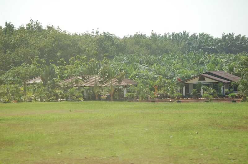 DSC_7328.JPG