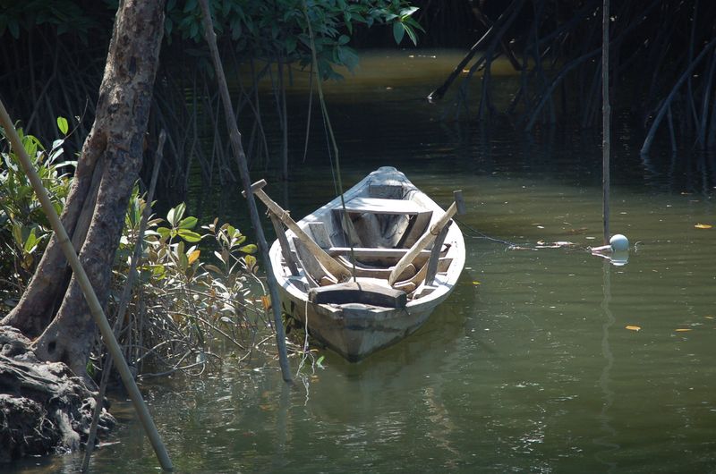 DSC_7337.JPG
