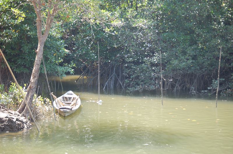 DSC_7338.JPG
