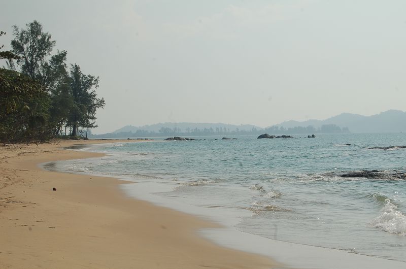DSC_7368.JPG