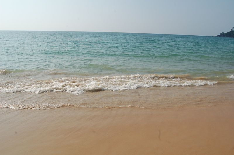 DSC_7381.JPG