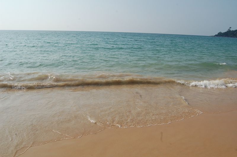 DSC_7382.JPG