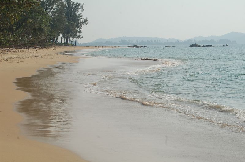 DSC_7411.JPG