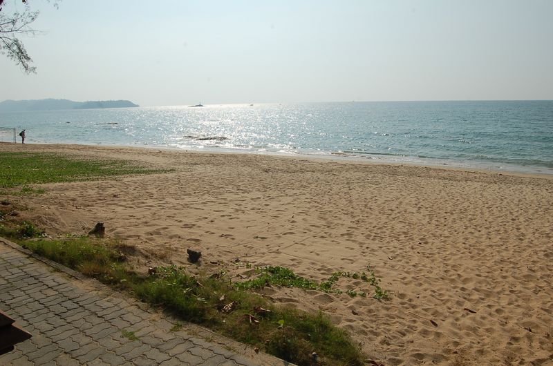 DSC_7415.JPG