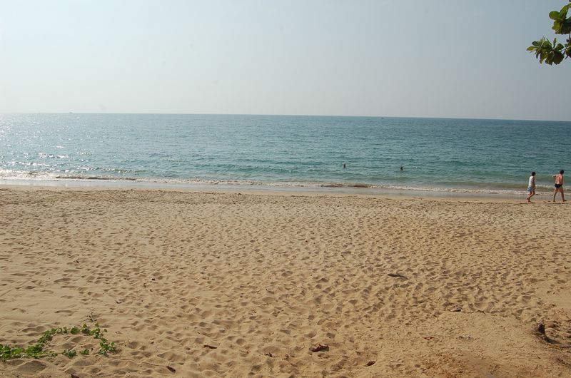 DSC_7417.JPG
