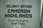 Cameron Highlands