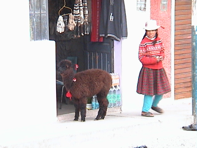 DSC00466