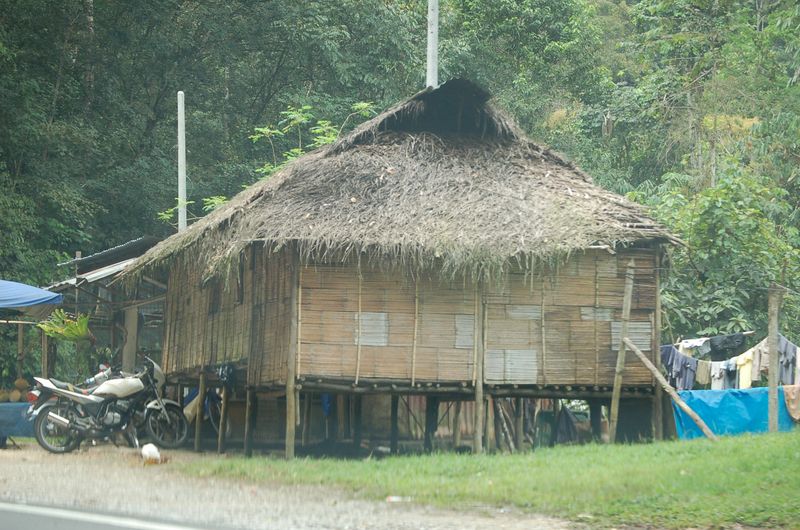 DSC_8306.JPG