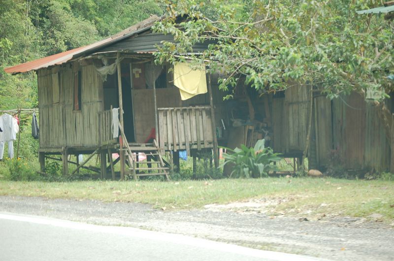 DSC_8327.JPG