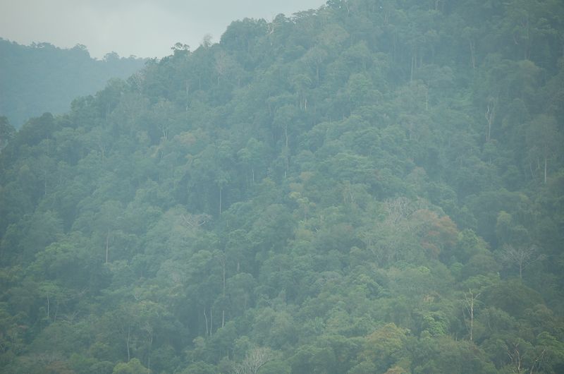 DSC_8332.JPG