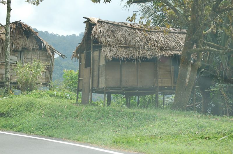 DSC_8346.JPG