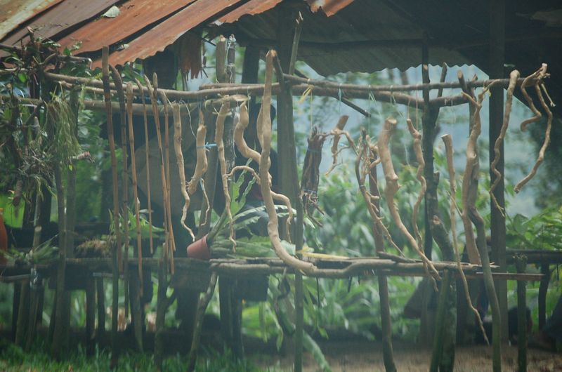 DSC_8352.JPG