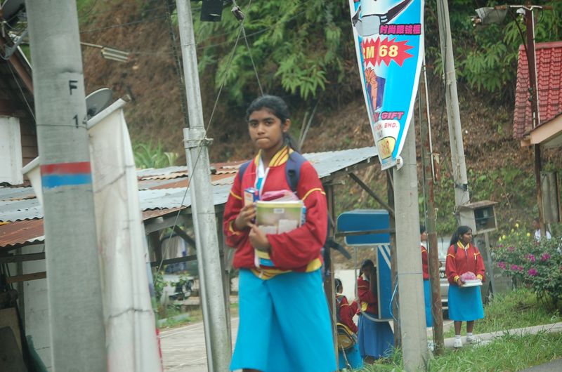 DSC_8384.JPG