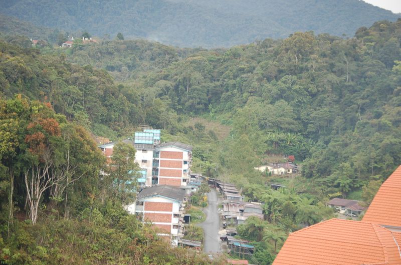 DSC_8439.JPG