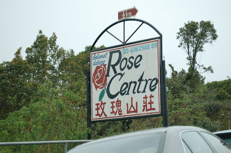 DSC_8505.JPG