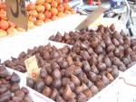 DSC01125.JPG