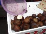 DSC01128.JPG