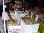 DSC01133.JPG