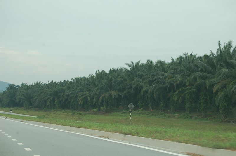 DSC_7458.JPG