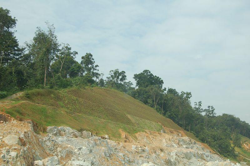 DSC_8084.JPG
