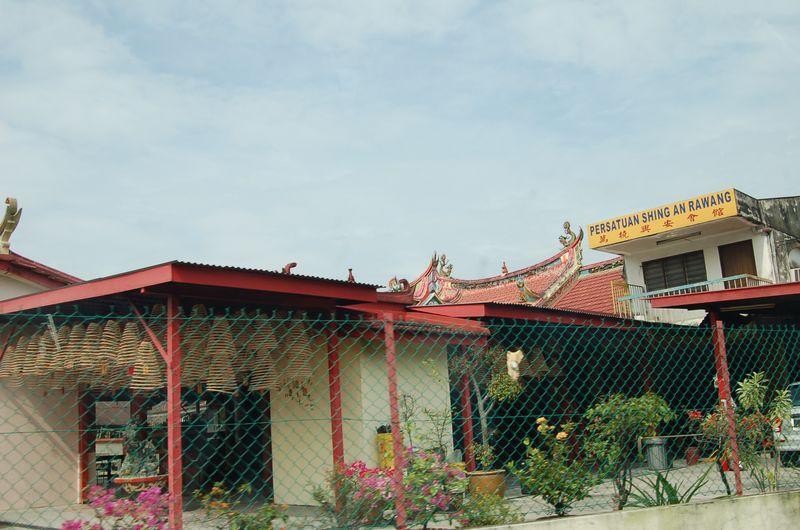 DSC_8119.JPG