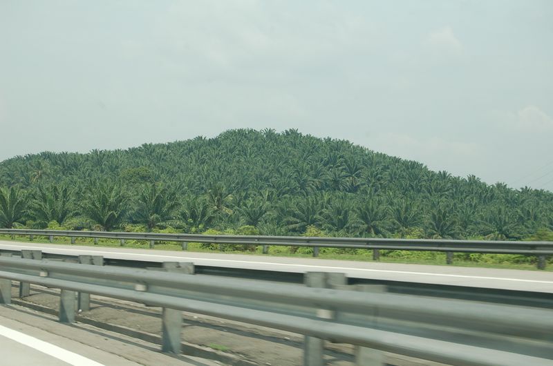 DSC_8142.JPG