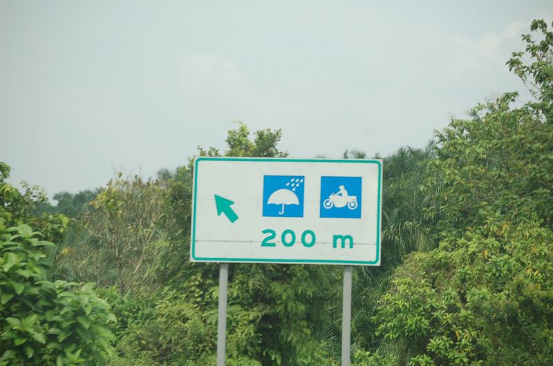 DSC_8146.JPG