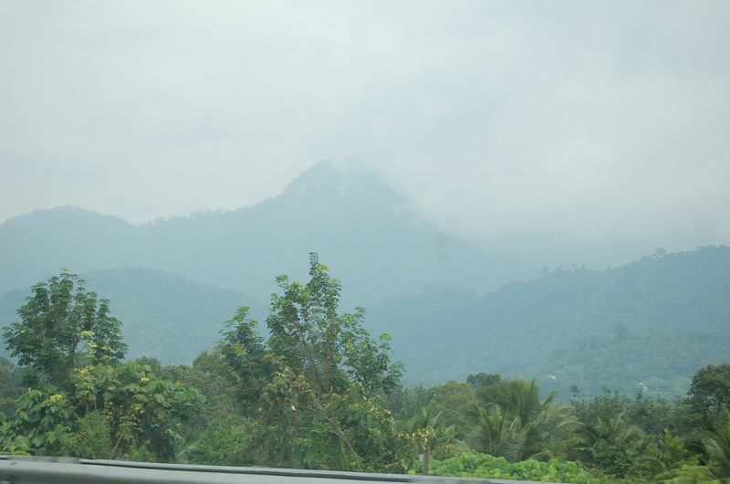 DSC_8164.JPG