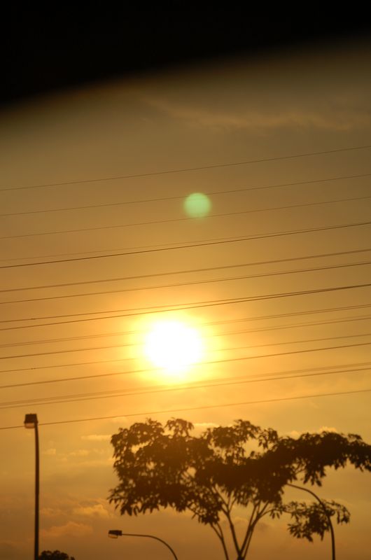 DSC_8919.JPG