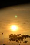 DSC_8919.JPG