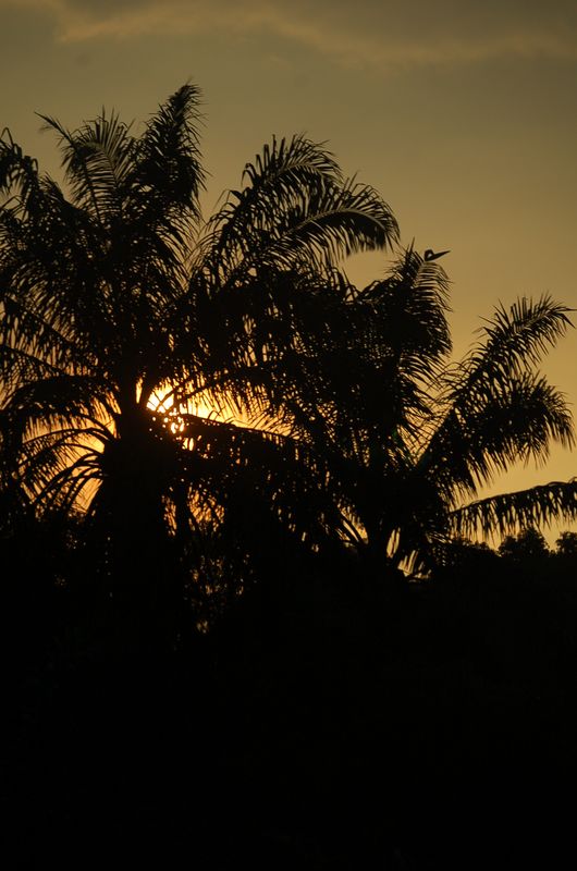 DSC_8922.JPG