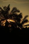 DSC_8922.JPG