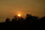 DSC_8930.JPG