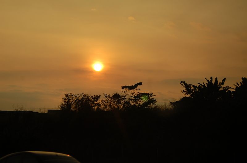 DSC_8933.JPG