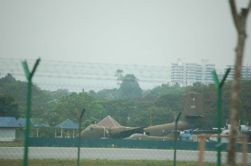 DSC_7498.JPG