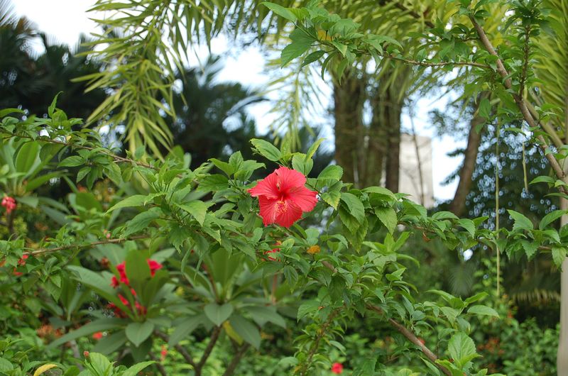 DSC_7566.JPG