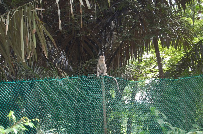 DSC_7630.JPG
