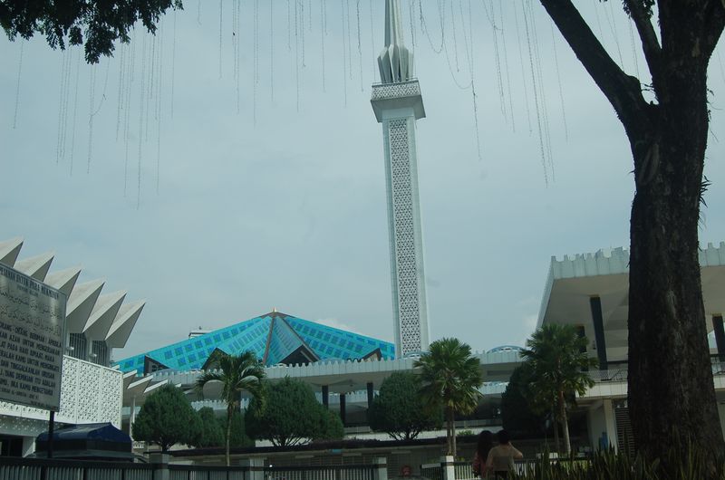 DSC_7646.JPG