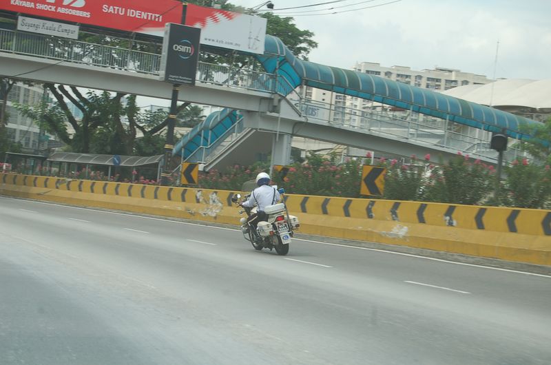 DSC_7698.JPG