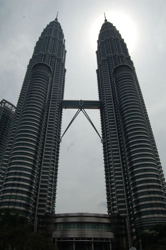DSC_7769.JPG