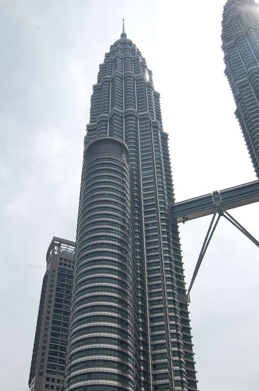 DSC_7778.JPG