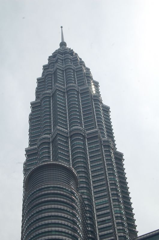 DSC_7779.JPG