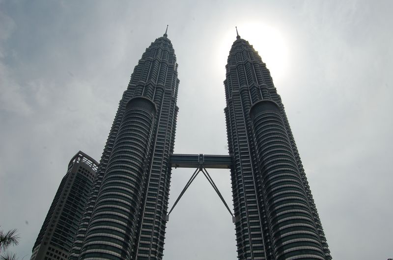 DSC_7785.JPG