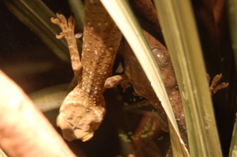 DSC_7809.JPG